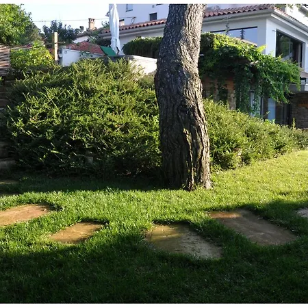 Vila Premium Natura Izola